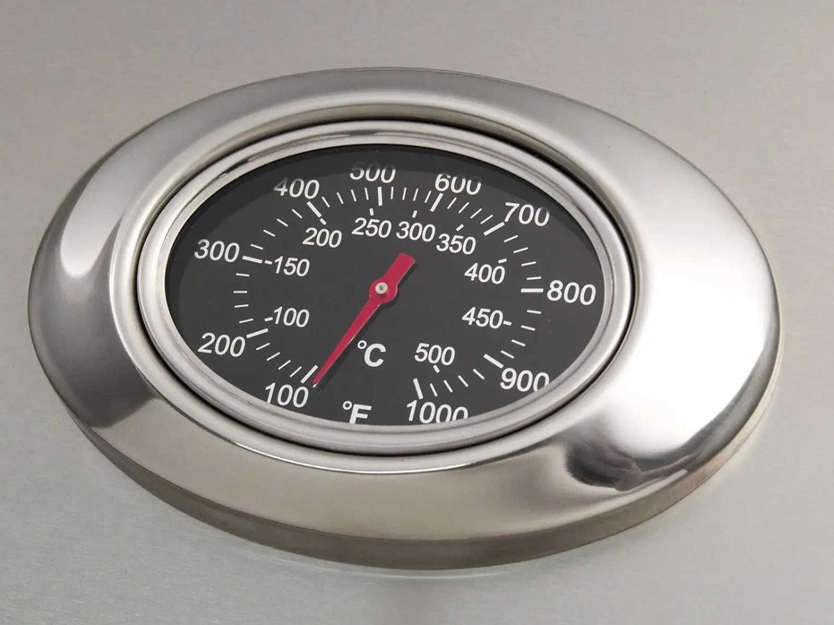 American Outdoor Grill L-Series 24&quot; 2-Burner Built-In Natural Gas Grill