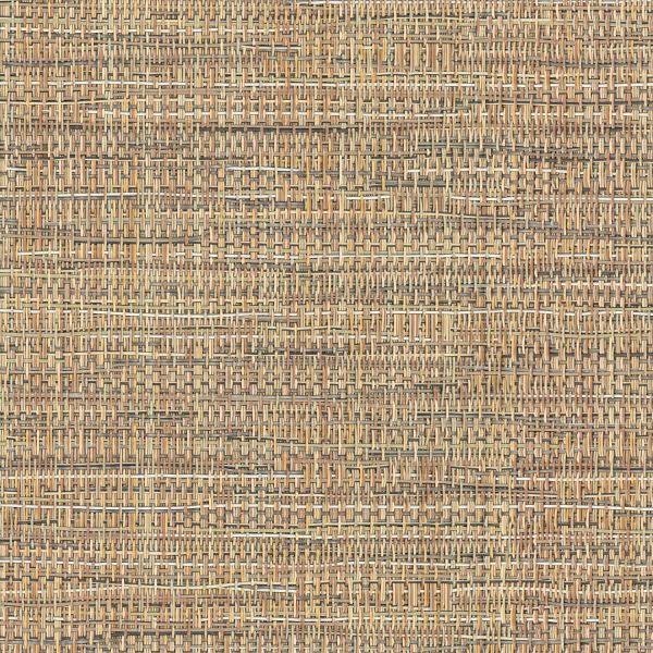 Fremont Sling Dining Armchair - Stackable