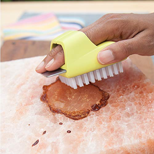 Charcoal Companion Salt Plate Scrubber