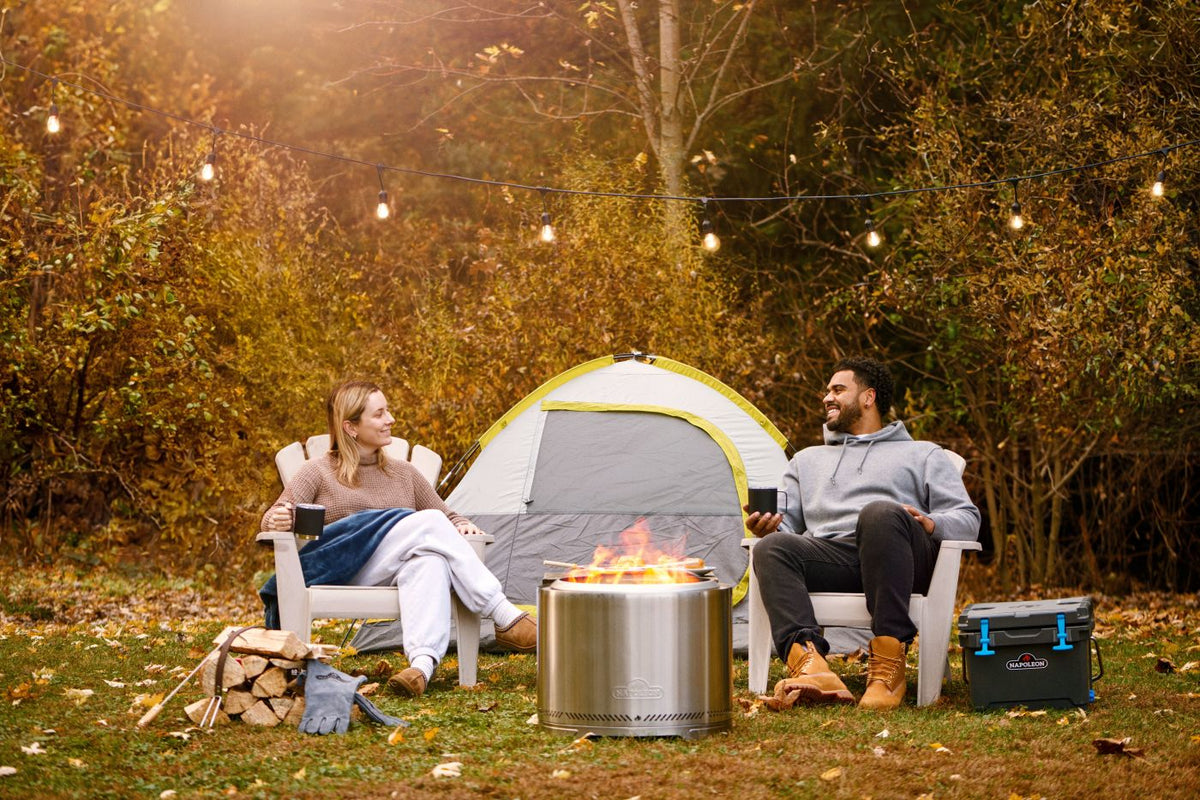 Napoleon TIMBERWOLF Smokeless Wood Fire Pit, Large (22&quot;), Stainless Steel