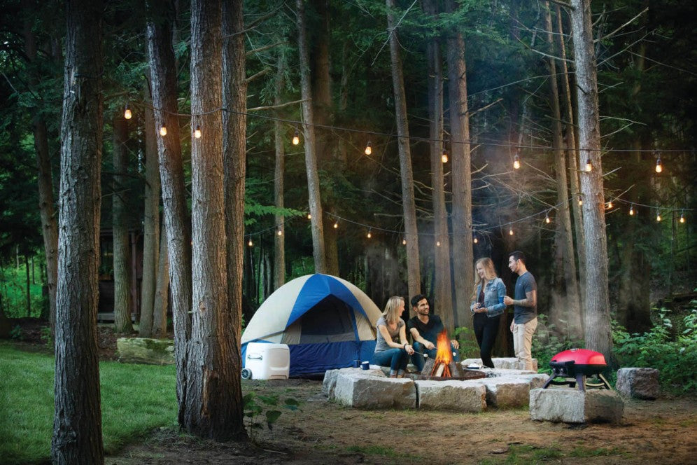 Napoleon TravelQ™ 285 Portable Gas Grill, Propane, Red