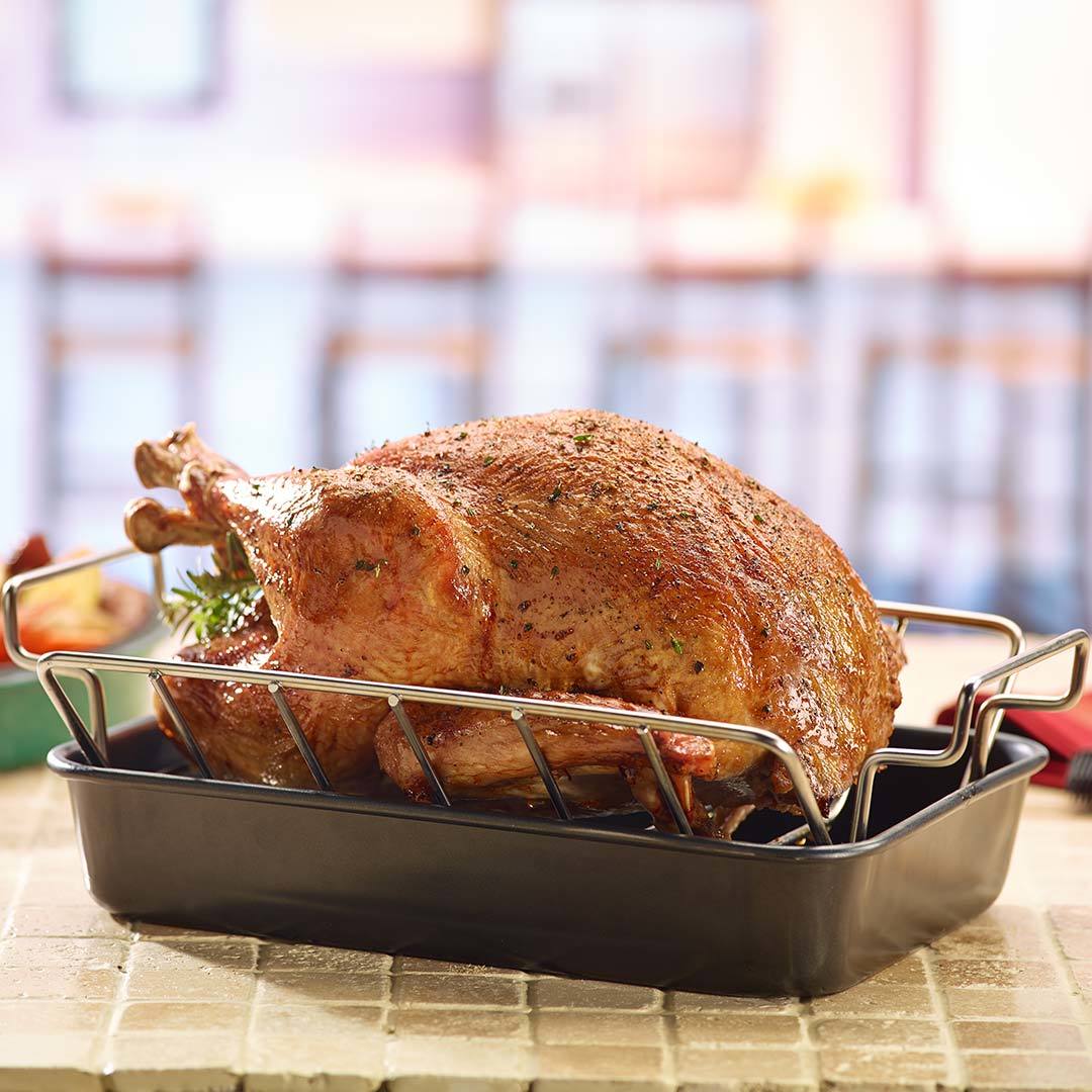 https://watsonbrotherspatioandhearth.com/cdn/shop/files/turkey-rack-pan-800__46877.1572455635.1280.1280_1200x.jpg?v=1694199133